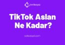 TikTok Aslan Ne Kadar?