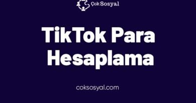 TikTok Para Hesaplama