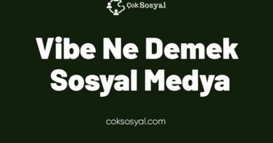 Vibe Ne Demek Sosyal Medya