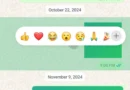 WhatsApp'taki emoji tepkileri için kolay kısayol!