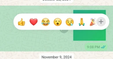 WhatsApp'taki emoji tepkileri için kolay kısayol!