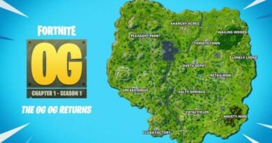 Epic Games, Fortnite veteranlarına müthiş bir hediye verdi: Kalıcı OG modu!