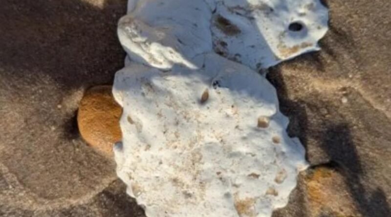 Plajda Aniden Beliren Beyaz Lekeler Korku Yaratıyor! Kimse Sebebini Çözemedi: "Uzak Durun" - TREND