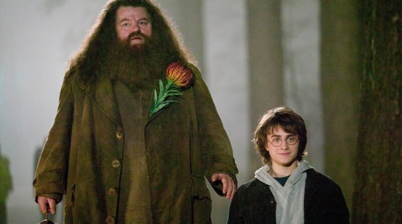 Harry Potter dizisinde Hagrid rolünü kimin üstleneceği açıklandı