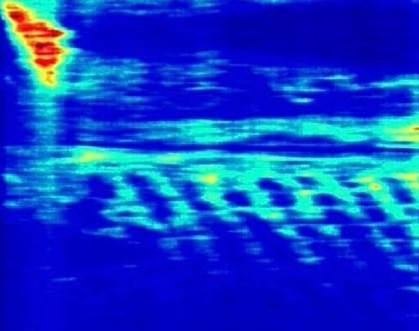 Denver Üniversitesi’nden radar uzmanı Profesör Lawrence Conyers, bu tür iddiaların bilimsel bir temele dayanmadığını düşünüyor.