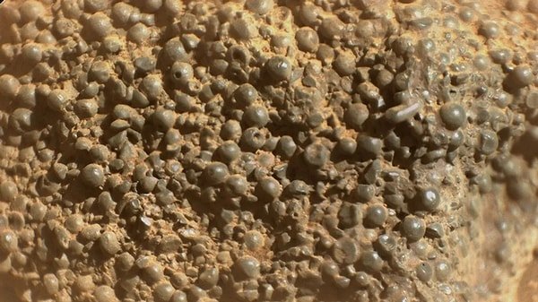 8. Mars’ta Garip Sferüller Bulundu: Yaşamın İzleri mi?