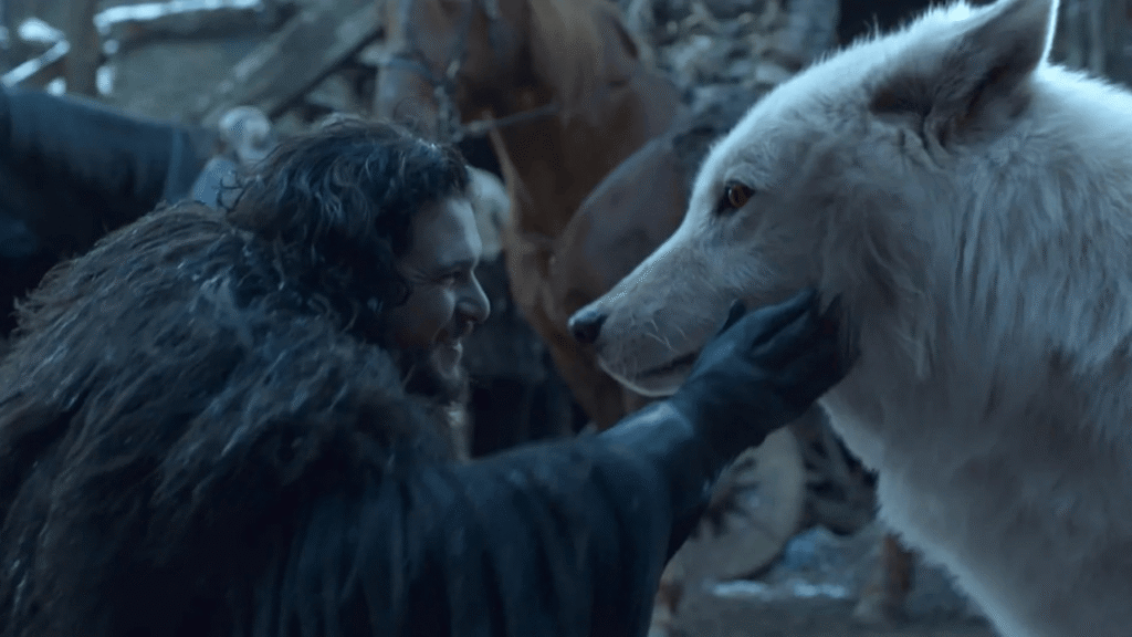 George R.R. Martin, Soyu Tükenen Ulukurtlarla Buluştuğunda Gözyaşlarını Tutamadı - Haberler
George R.R. Martin, Soyu Tükenen Ulukurtlarla Buluştuğunda Gözyaşlarına Hakim Olamadı - Haberler