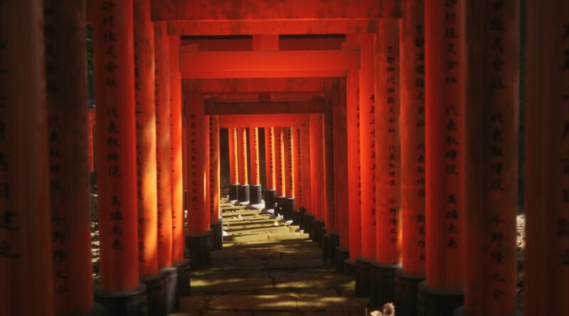 Lushfoil Fotoğrafçılığı: Hepimizi Fotoğrafçı Yapmak İstiyor!