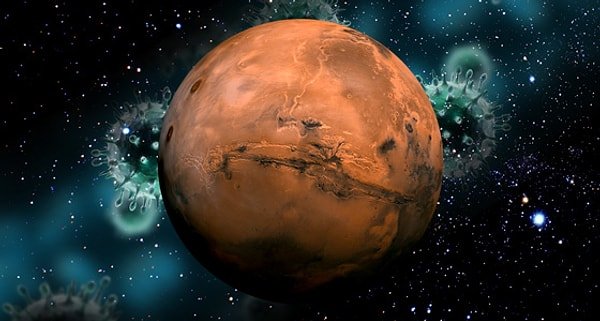 Fox News’e verdiği röportajda Musk, Mars'ta 20 yıl içinde 1 milyon kişinin yaşayacağı, kendi kendine yeterli bir şehir kurmayı hedefliyor.