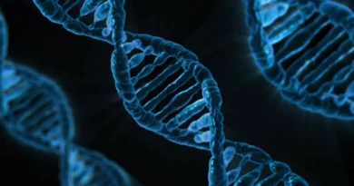 İnsanlığın Kodu: DNA'nın Keşfi Nasıl Gerçekleşti?