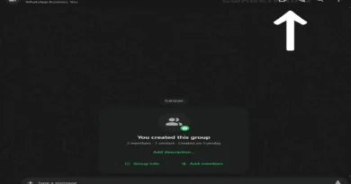 WhatsApp, Web Sürümüne Yeni Arama Özelliği Ekliyor!