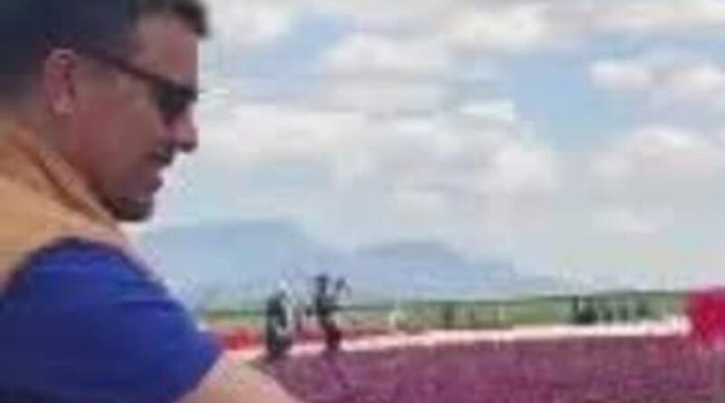 İş Makinesi Operatörünü Çileden Çıkaran Olay! Arkadaşları Gördükten Sonra Hemen Onu Aradı: 'Herkes Şokta'