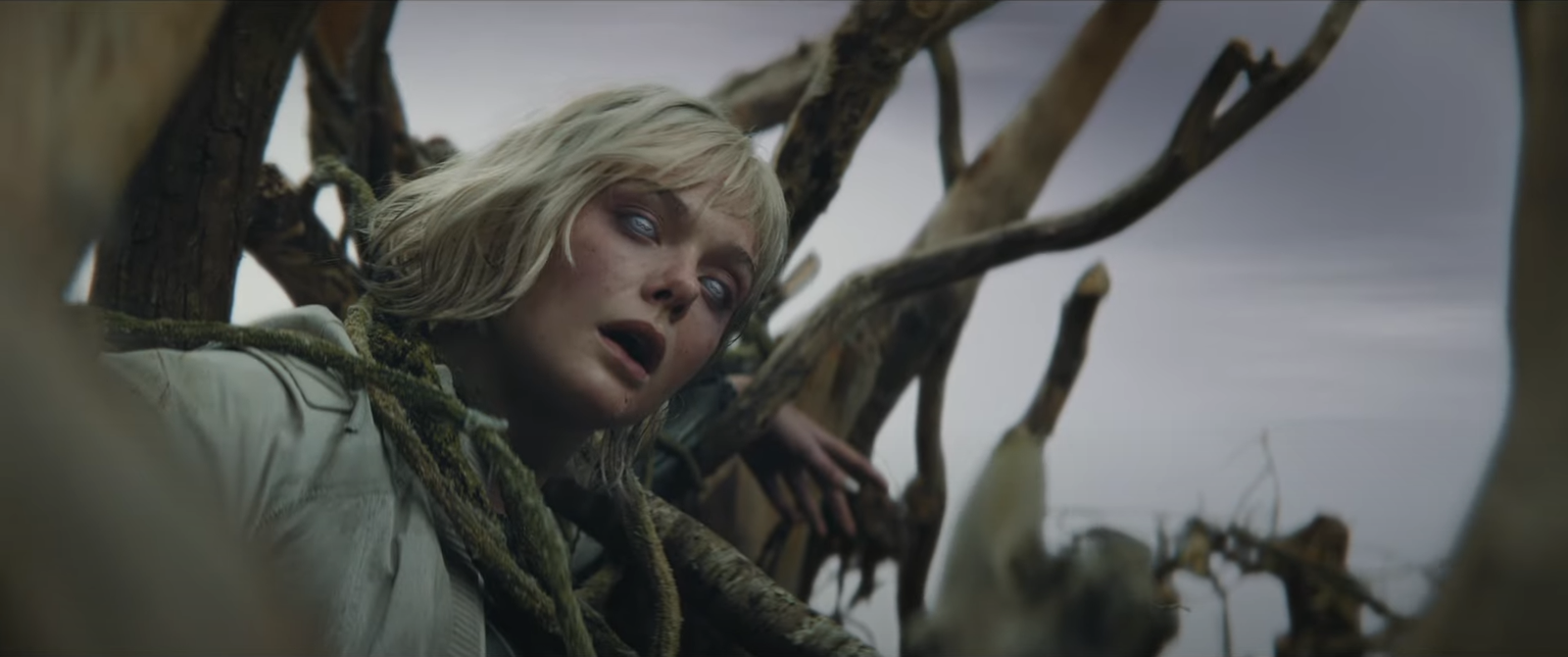 Predator: Badlands Trailer Easter Eggs Leave Fans Thinking It’s Setting Up Alien vs. Predator 3