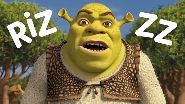 10. Son olarak "rizz" kelimesinin anlamı nedir?