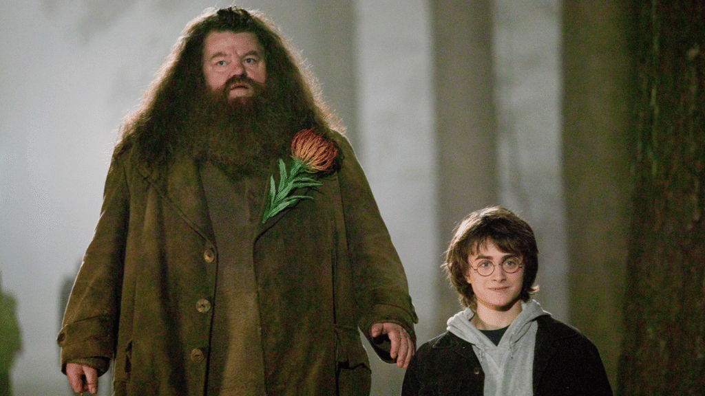 Nick Frost, Hagrid Kostümüyle İlk Kez Görüntülendi: HBO'nun "Harry Potter" Dizisinden Yeni Görsel Yayınlandı - Haberler