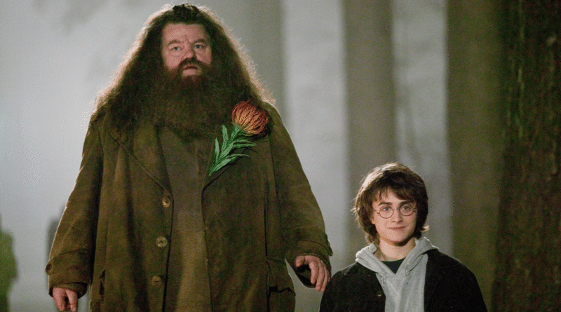 Nick Frost, Hagrid Kostümüyle İlk Kez Görüntülendi: HBO'nun "Harry Potter" Dizisinden Yeni Görsel Yayınlandı - Haberler