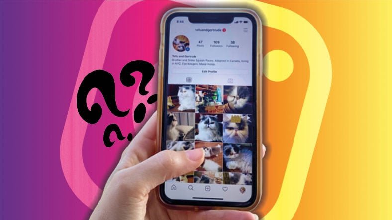 Instagram Önbelleği Nasıl Temizlenir? (iOS ve Android)