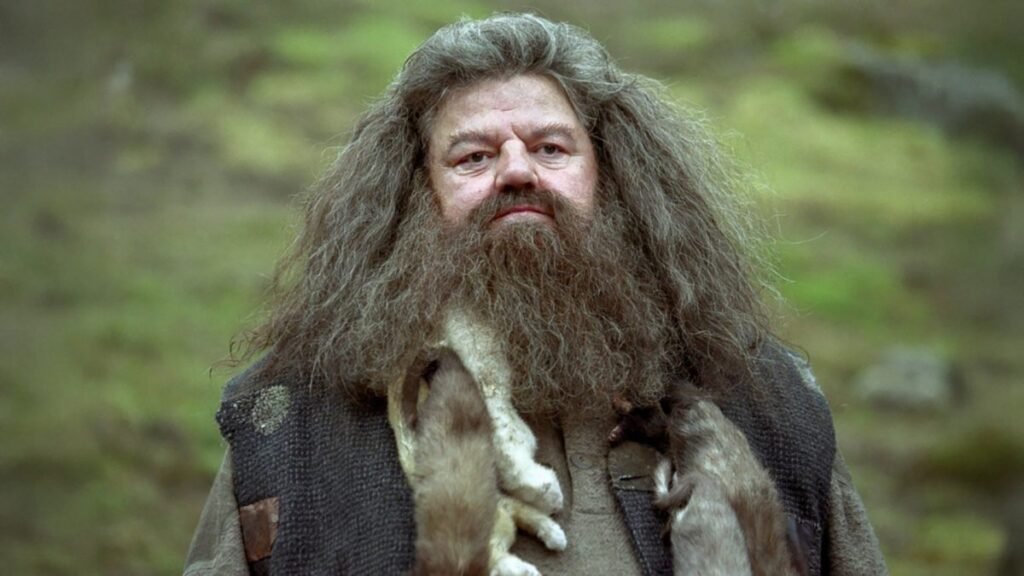 Harry Potter HBO Dizisi: Yeni Hagrid Karakterine İlk Bakış!