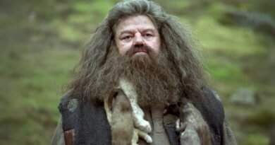 Harry Potter HBO Dizisi: Yeni Hagrid Karakterine İlk Bakış!