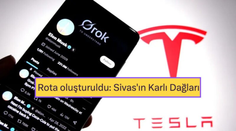 Tesla Araçlara Grok Geliyor! Grok'un Küfürleriyle Eğlenceli Anlar X Kullanıcılarını Bekliyor