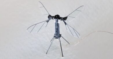 Casusluk Amaçlı Sivrisinek Boyutunda Dron Tanıtıldı