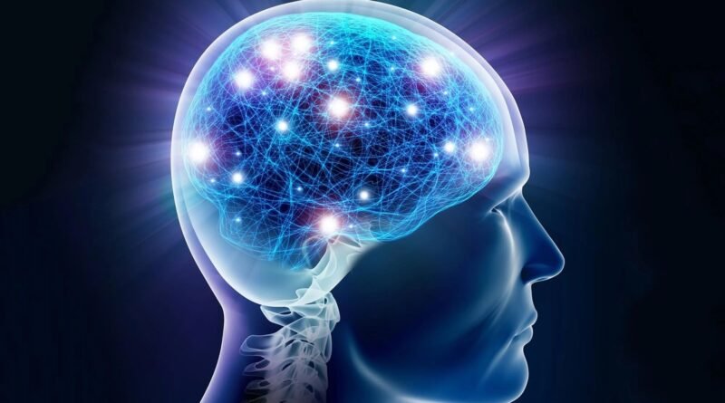 Yeni Araştırma Efsaneyi Yıktı: Beyin Yaşlanmıyor, Dönüşüyor!