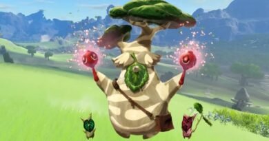 Nintendo'nun Koleksiyonculara Karşı Tutumu: Büyük Bir Sorunum Var!