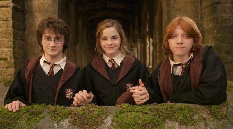Harry Potter dizisi, filmlerde yer almayan önemli bir karakteri tanıtacak