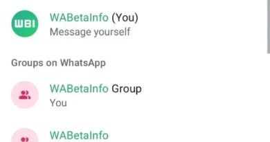WhatsApp, Beklenen Özelliği Nihayet Sunuyor