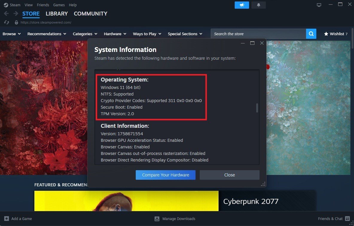Steam Secure Boot ve TPM kontrolü