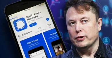 Elon Musk, Signal'ı Hedef Aldı: Cevap Hızla Geldi