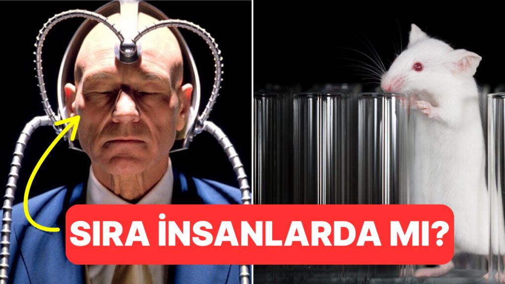 Sıra Bizde mi? Bilim İnsanları Farelerin Zihinlerini Okuyabiliyor!