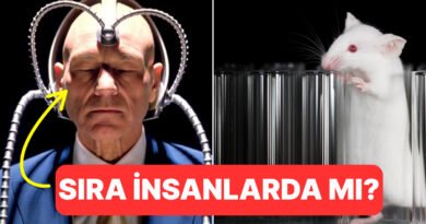 Sıra Bizde mi? Bilim İnsanları Farelerin Zihinlerini Okuyabiliyor!
