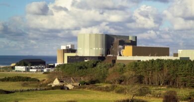 İngiltere, İlk SMR Nükleer Reaktörü için Çalışmalara Başladı