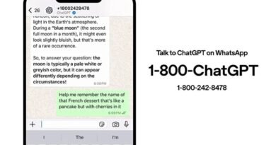 WhatsApp Sohbet Botları İçin Yasak Kararı