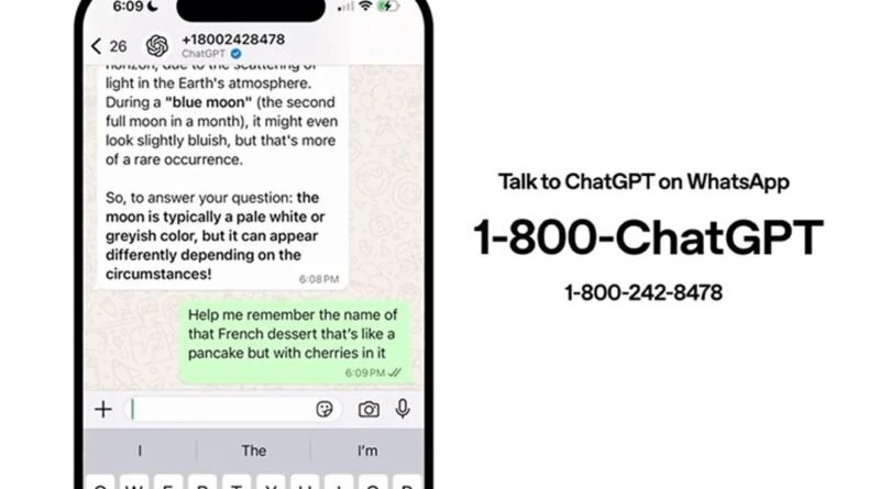 WhatsApp Sohbet Botları İçin Yasak Kararı