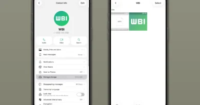 WhatsApp Yeni Özelliğini Tanıttı - ShiftDelete.Net
