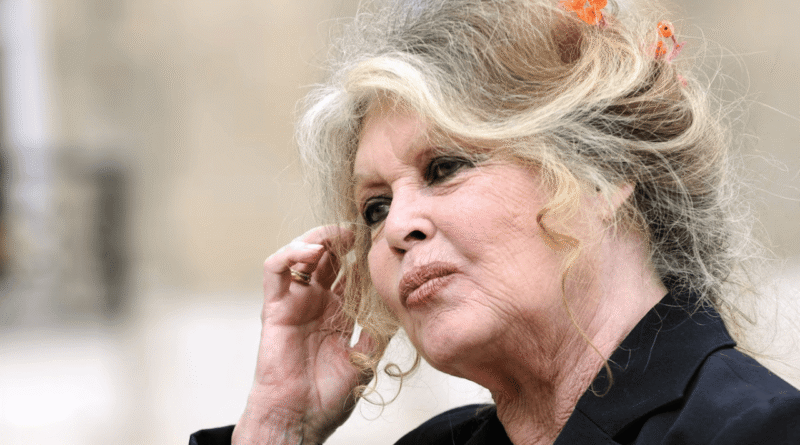 Fransız Sinemasının Efsanesi Brigitte Bardot, 91 Yaşında Hayatını Kaybetti - Haberler
