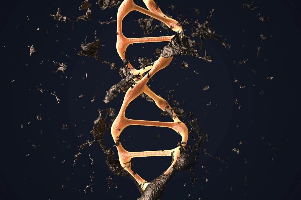 DNA Hasarını Onarabilen İlk Örnek İlaç Geliştirildi