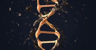 DNA Hasarını Onarabilen İlk Örnek İlaç Geliştirildi