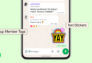 Yeni Özellikler WhatsApp Gruplarında Kullanıma Sunuldu