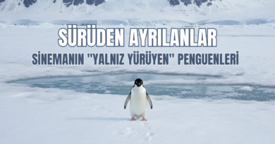 Sürüden Ayrılanlar: Sinemanın "Yalnız Yürüyen" Penguenleri ve Boşluğun Çekimi