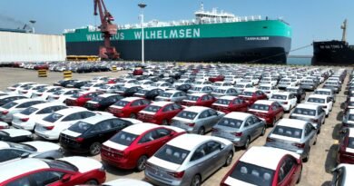 Yüzlerce Çinli Elektrikli Otomobil Üreticisi Krizle Yüz Yüze