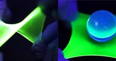 Yeni Dönem Telefonlar: Parlaklık Kaybetmeden Esneyen OLED Teknolojisi