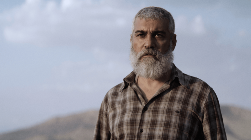 Berlin Film Festivali'nde Ana Yarışma Filmleri Duyuruldu - Haberler