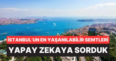 Hepsi Farklı Yanıtlar Verdi: Yapay Zekaya Göre İstanbul'da Yaşamak İçin En İyi Semtler Açıklandı