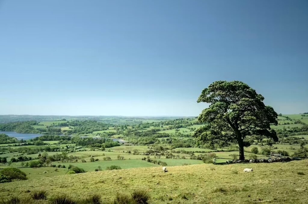 Yapay Zekanın Kültürel Gelişmeyi Yavaşlattığı Belirlendi