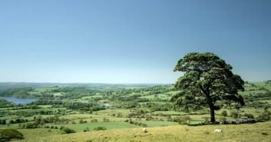 Yapay Zekanın Kültürel Gelişmeyi Yavaşlattığı Belirlendi