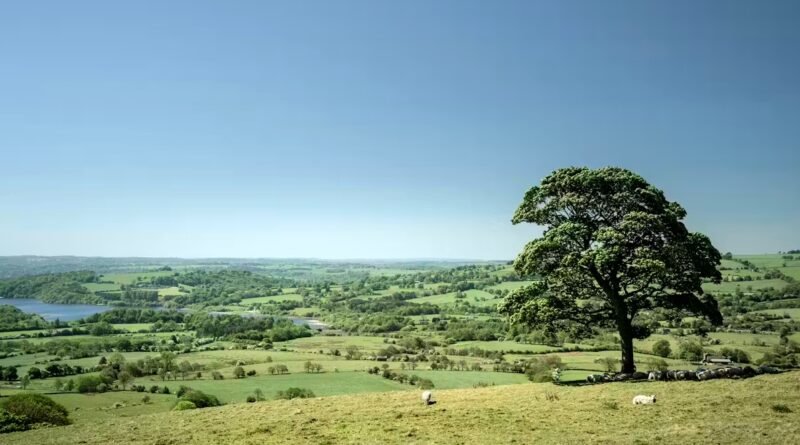 Yapay Zekanın Kültürel Gelişmeyi Yavaşlattığı Belirlendi