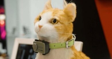 MWC'de Kedi ve Köpekler İçin Geliştirilen PetPhone Tanıtıldı